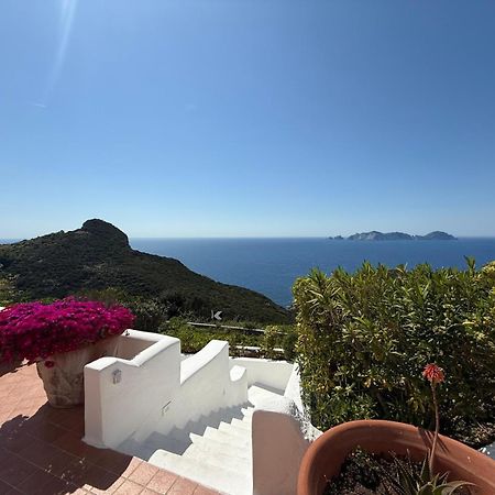 Guest House Villa Il Gabbiano ポンツァ エクステリア 写真