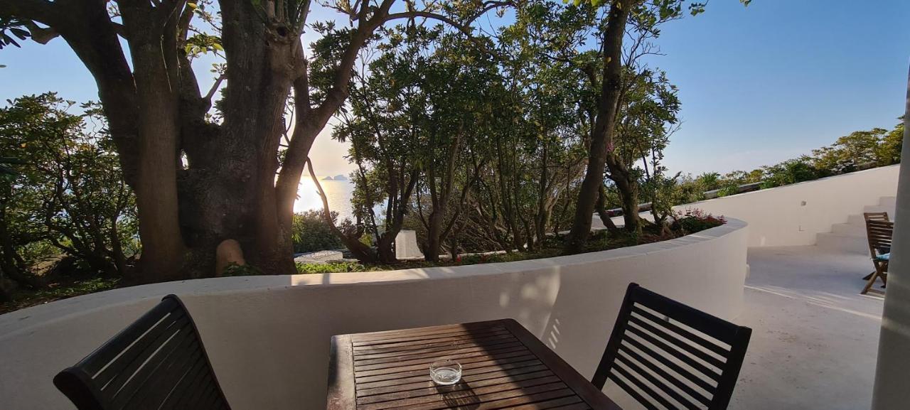 Guest House Villa Il Gabbiano ポンツァ エクステリア 写真
