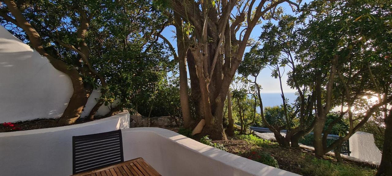 Guest House Villa Il Gabbiano ポンツァ エクステリア 写真